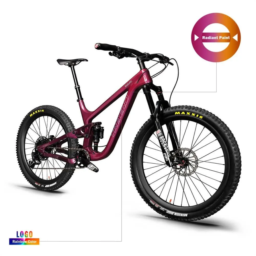 29er Enduro Bike Rainbow P9