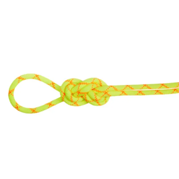 Mammut 9.5mm Alpine Core Protect Dry Rope