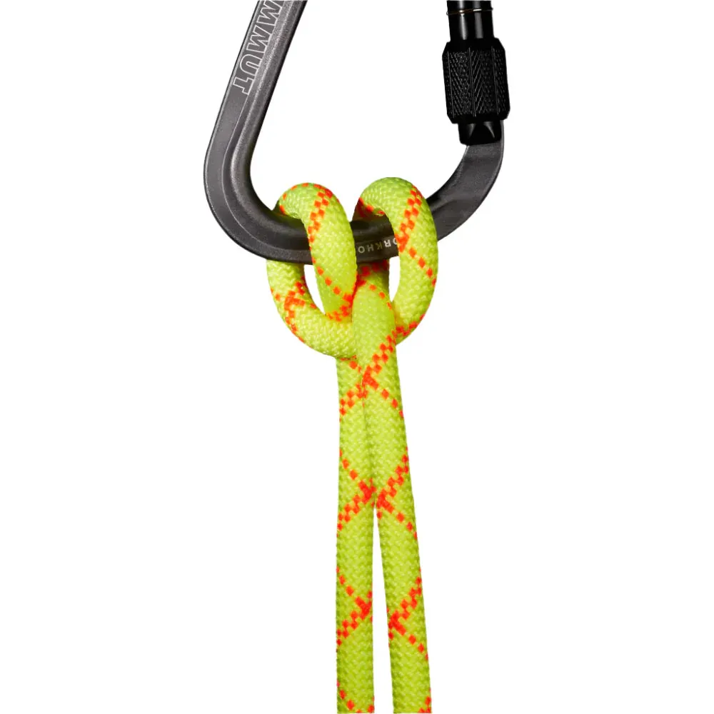 Mammut 9.5mm Alpine Core Protect Dry Rope
